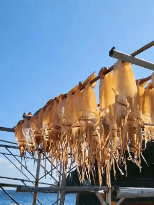 d417dfc7a4dcfd3a555f22cd1643573a_1715897615_0499.gif
