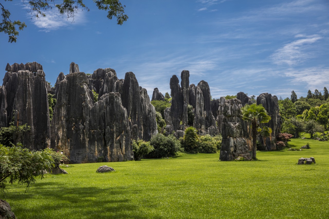 1c96c00e9a861367513433fa774f95dd_1774481523_3761.jpg 1c96c00e9a861367513433fa774f95dd_1774481523_3761.jpg