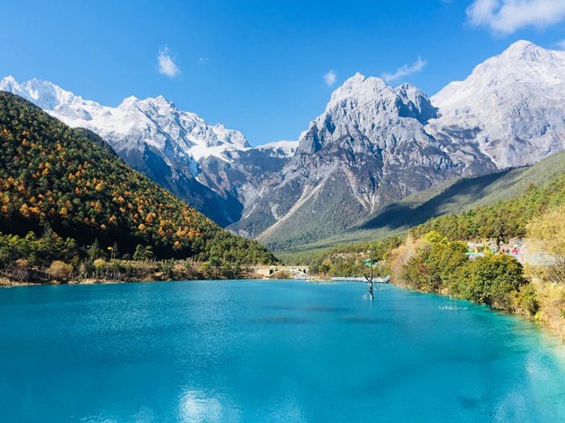 1c96c00e9a861367513433fa774f95dd_1774481524_4134.jpg 1c96c00e9a861367513433fa774f95dd_1774481524_4134.jpg