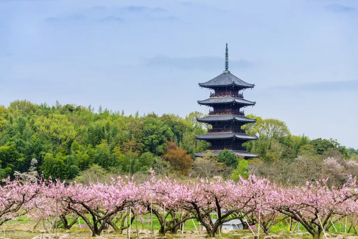 1c96c00e9a861367513433fa774f95dd_1774487733_6661.png 1c96c00e9a861367513433fa774f95dd_1774487733_6661.png