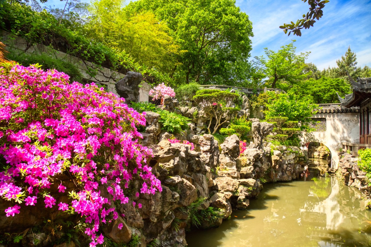 1c96c00e9a861367513433fa774f95dd_1775193731_666.jpg 1c96c00e9a861367513433fa774f95dd_1775193731_666.jpg