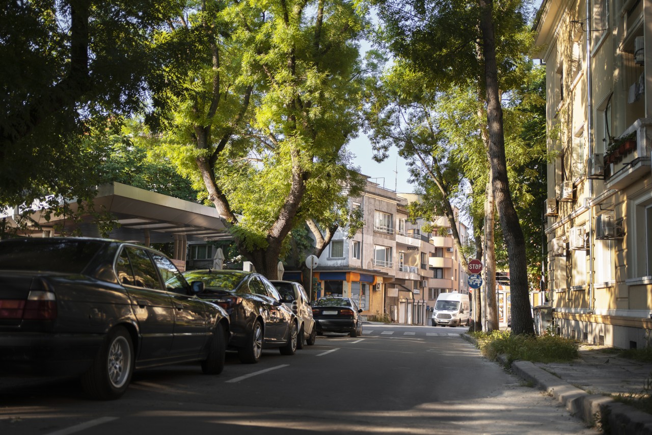 1c96c00e9a861367513433fa774f95dd_1775193821_3217.jpg 1c96c00e9a861367513433fa774f95dd_1775193821_3217.jpg