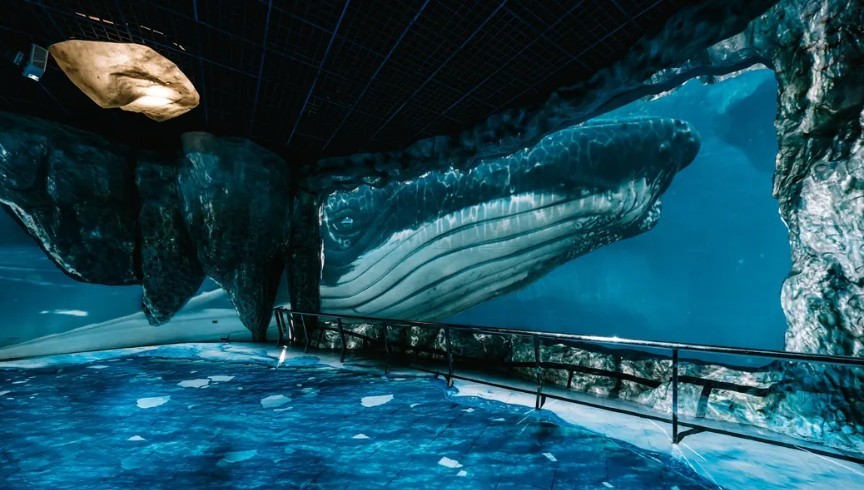 1c96c00e9a861367513433fa774f95dd_1775456825_9235.jpg 1c96c00e9a861367513433fa774f95dd_1775456825_9235.jpg