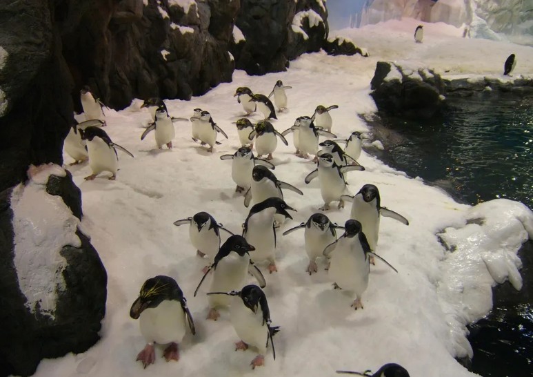 1c96c00e9a861367513433fa774f95dd_1775456826_0942.jpg 1c96c00e9a861367513433fa774f95dd_1775456826_0942.jpg