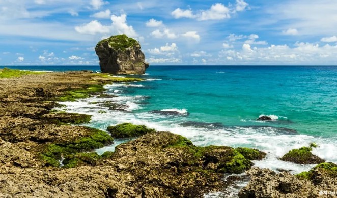 1c96c00e9a861367513433fa774f95dd_1775456875_8745.jpg 1c96c00e9a861367513433fa774f95dd_1775456875_8745.jpg