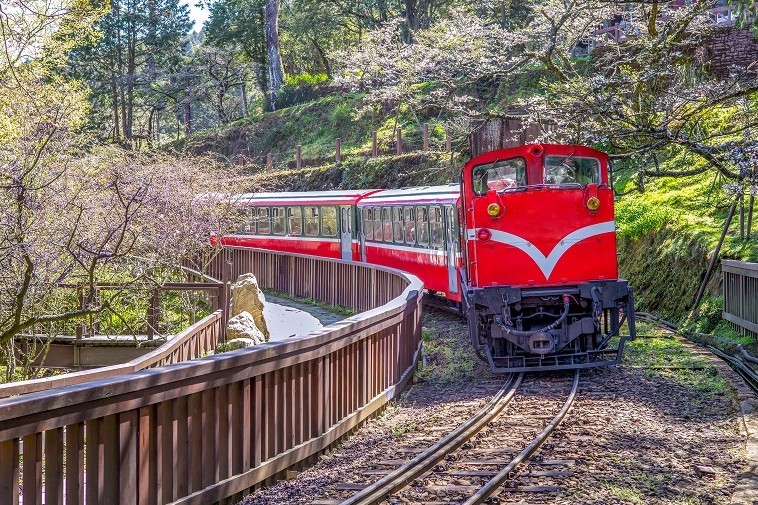 1c96c00e9a861367513433fa774f95dd_1775456876_7752.jpg 1c96c00e9a861367513433fa774f95dd_1775456876_7752.jpg