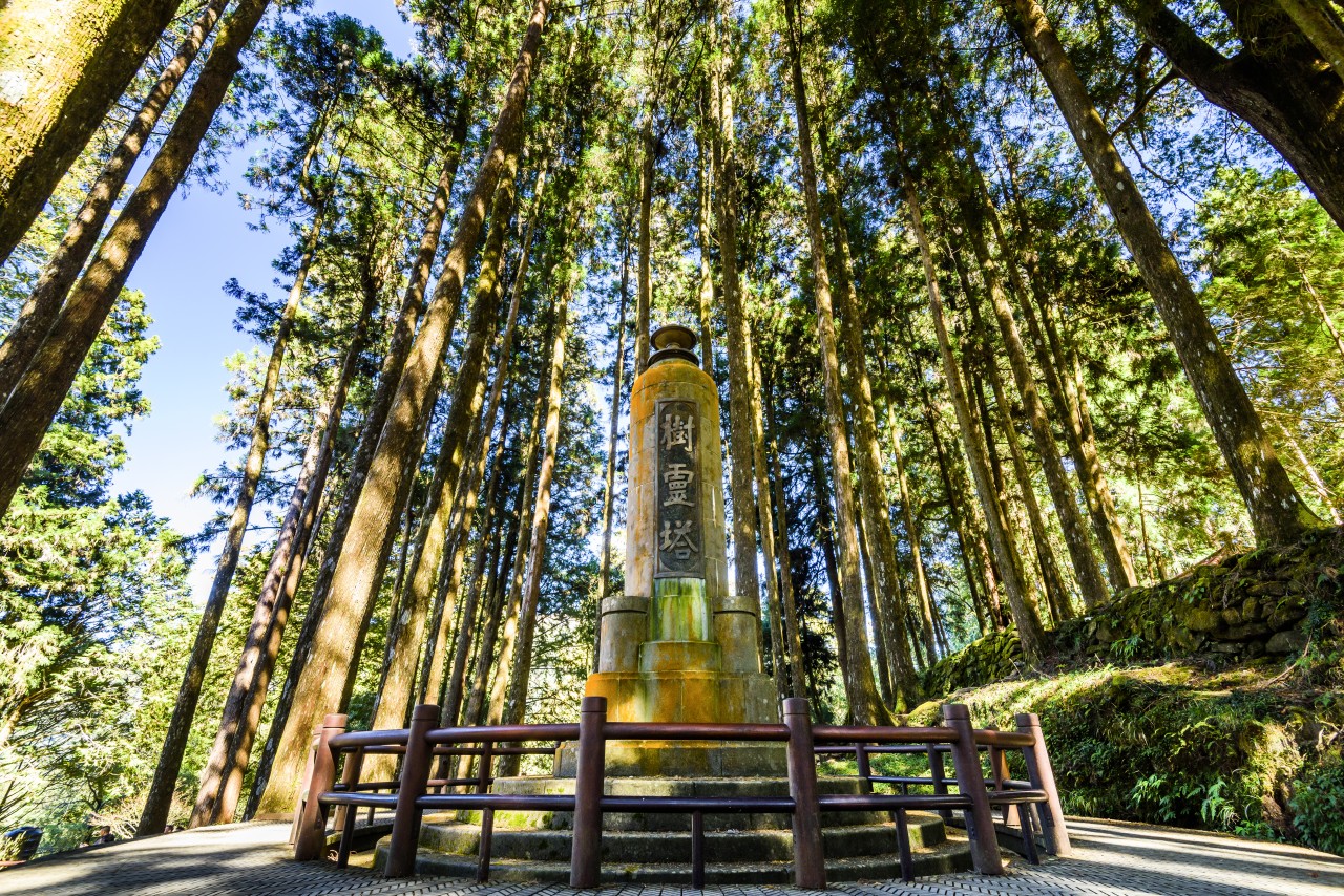 1c96c00e9a861367513433fa774f95dd_1775456877_0872.jpg 1c96c00e9a861367513433fa774f95dd_1775456877_0872.jpg