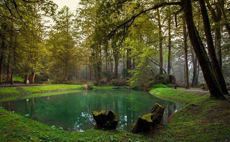 1c96c00e9a861367513433fa774f95dd_1775457229_2612.jpg 1c96c00e9a861367513433fa774f95dd_1775457229_2612.jpg