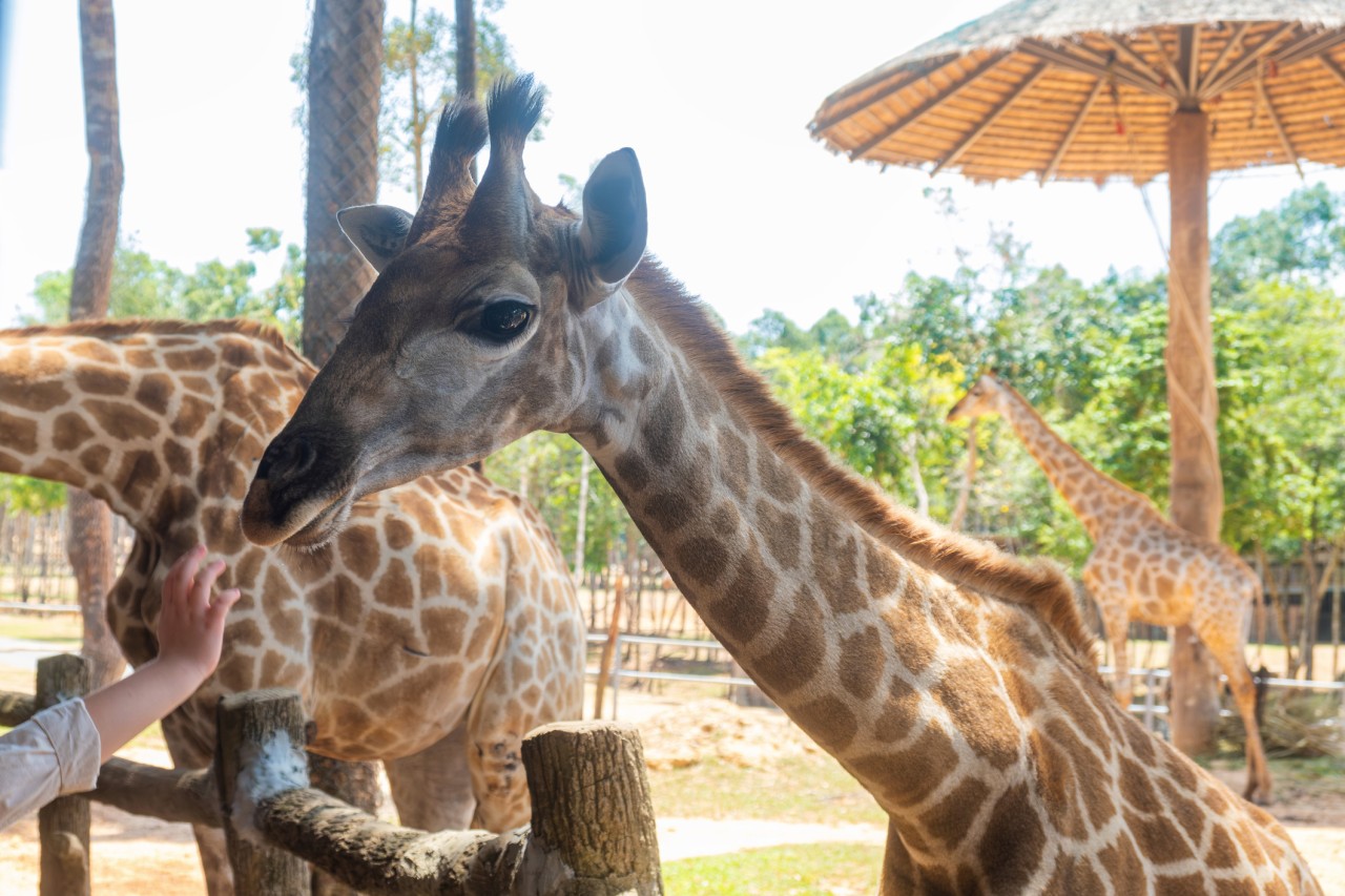 1c96c00e9a861367513433fa774f95dd_1775701400_6696.jpg 1c96c00e9a861367513433fa774f95dd_1775701400_6696.jpg