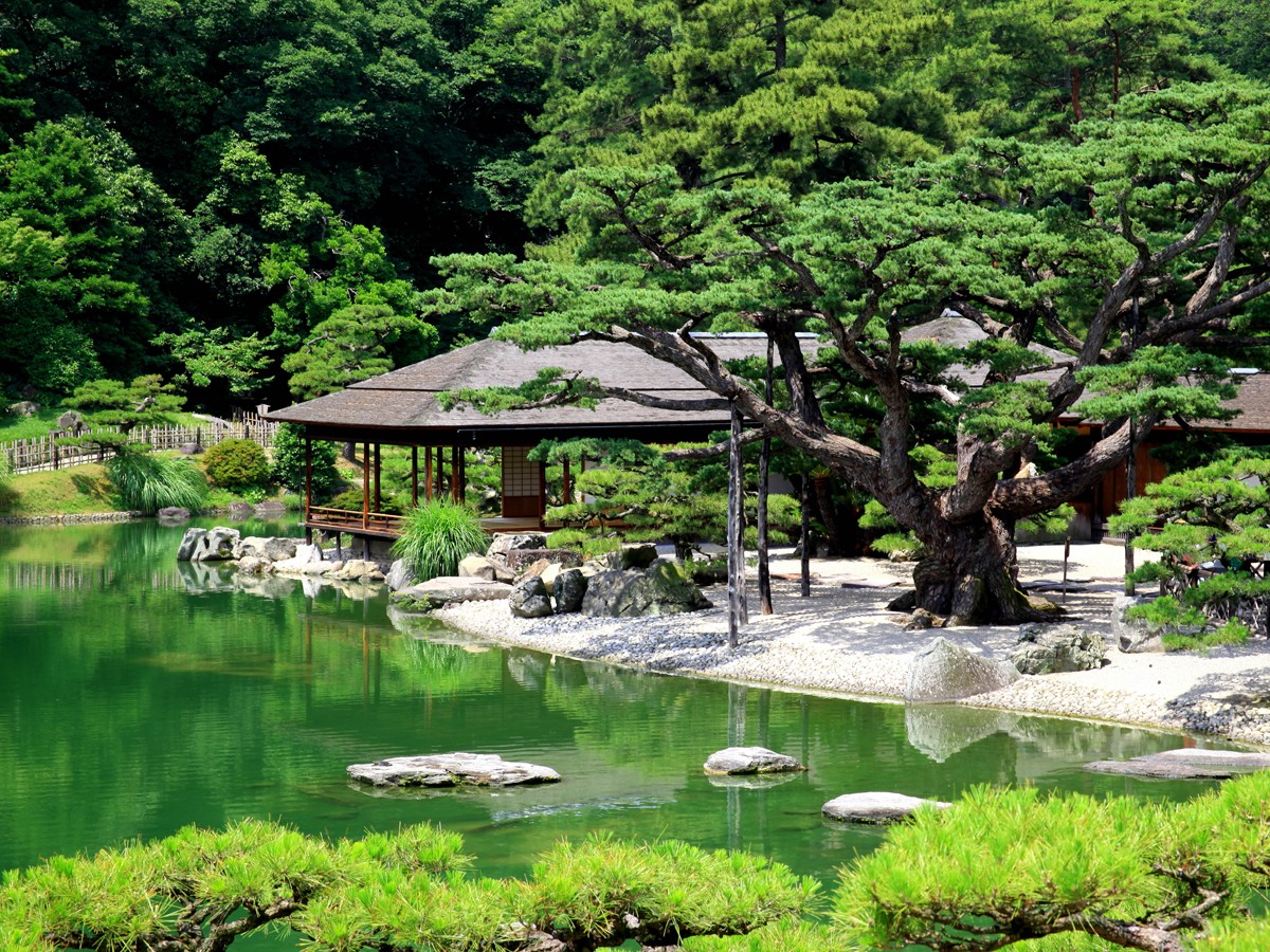 1c96c00e9a861367513433fa774f95dd_1775712580_0263.png 1c96c00e9a861367513433fa774f95dd_1775712580_0263.png