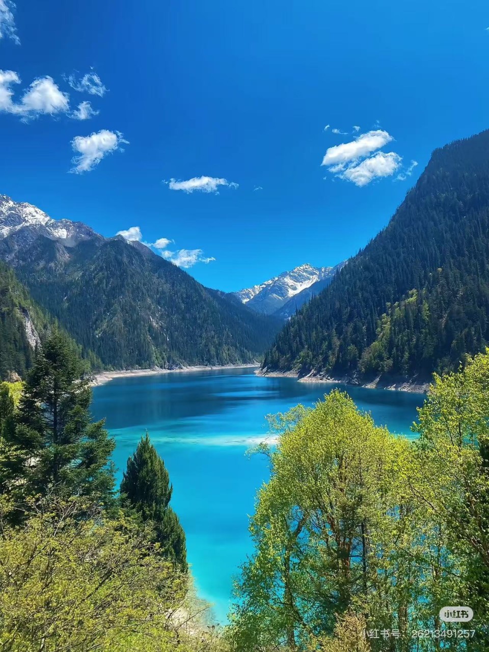 1c96c00e9a861367513433fa774f95dd_1776216758_8351.jpg