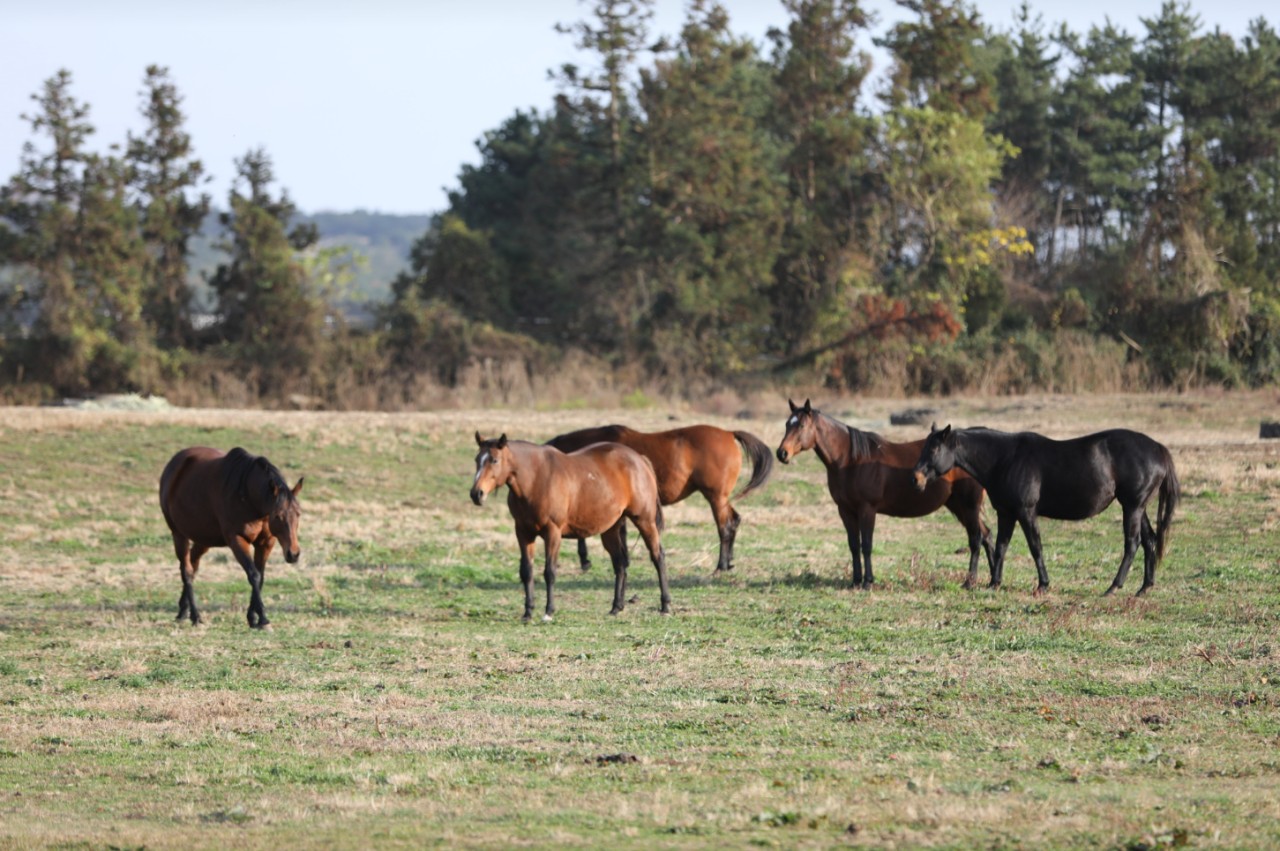 471d1441e2017e84d695dd5577c3fd74_1782312964_4746_1786439961.png