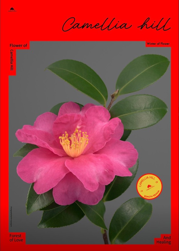 471d1441e2017e84d695dd5577c3fd74_1782312997_4372_1786439961.png