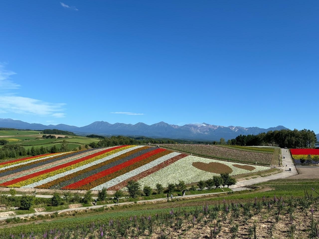 543c5177cf6abecc9162d0c98be3f1a5_1788752630_029.jpg 543c5177cf6abecc9162d0c98be3f1a5_1788752630_029.jpg