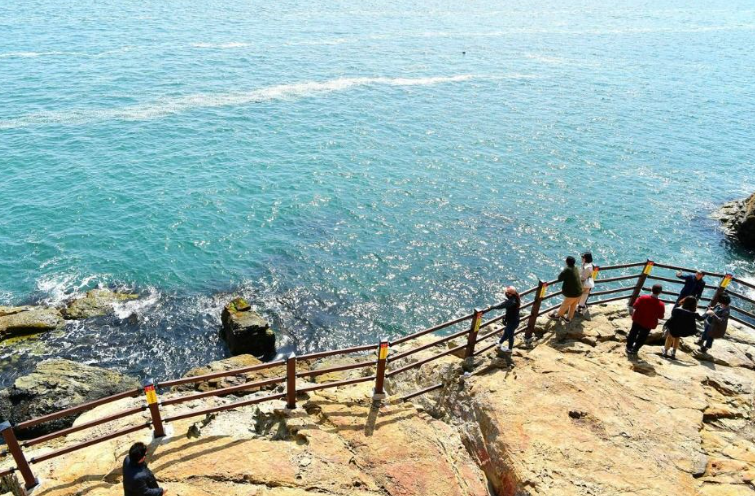 여수크루즈+오동도당일