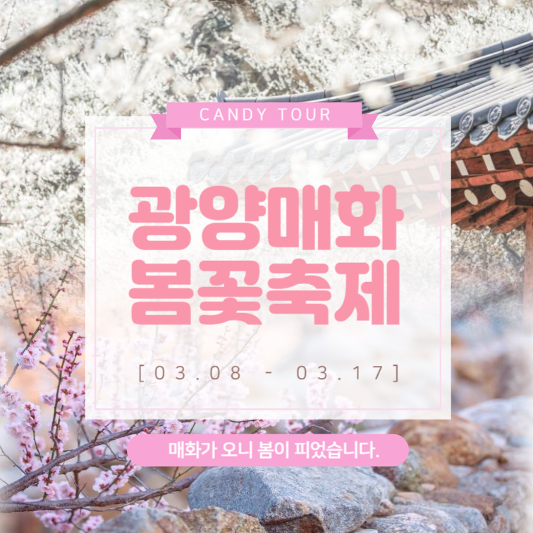 광양매화축제 당일
