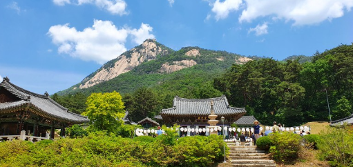 5월15일 단하루! 문경 봉암사