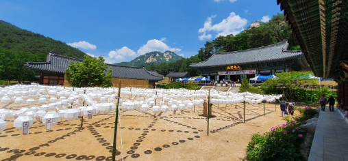 5월15일 단하루! 문경 봉암사