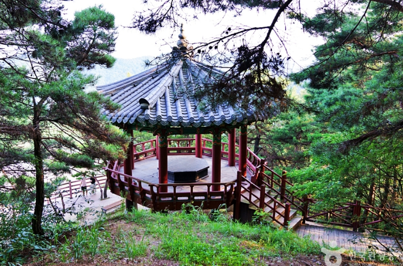 5월15일 단하루! 문경 봉암사
