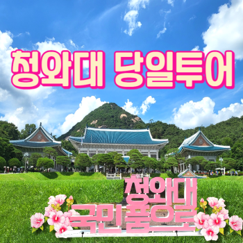 청와대당일투어