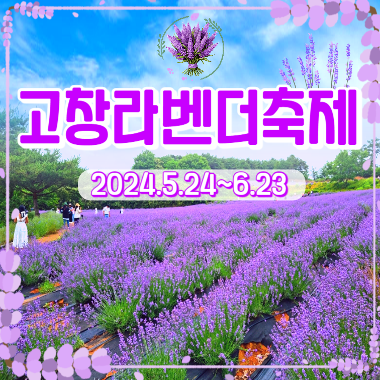 고창라벤더축제 당일여행