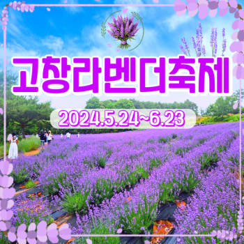 고창라벤더축제 당일여행
