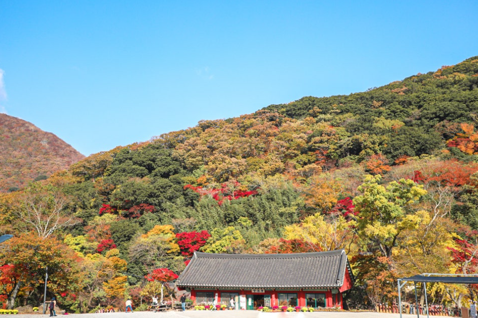 두륜산케이블카+대흥사