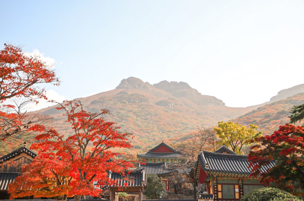 두륜산케이블카+대흥사