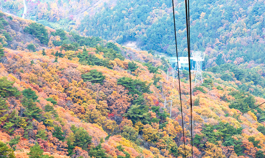 두륜산케이블카+대흥사