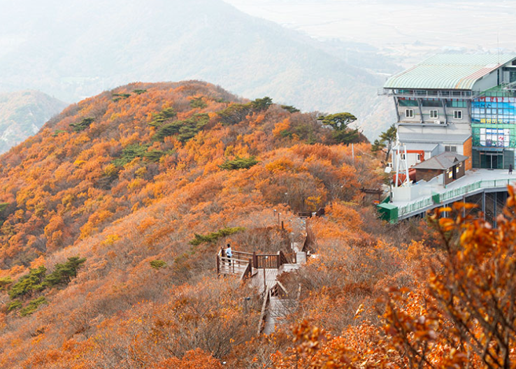 두륜산케이블카+대흥사