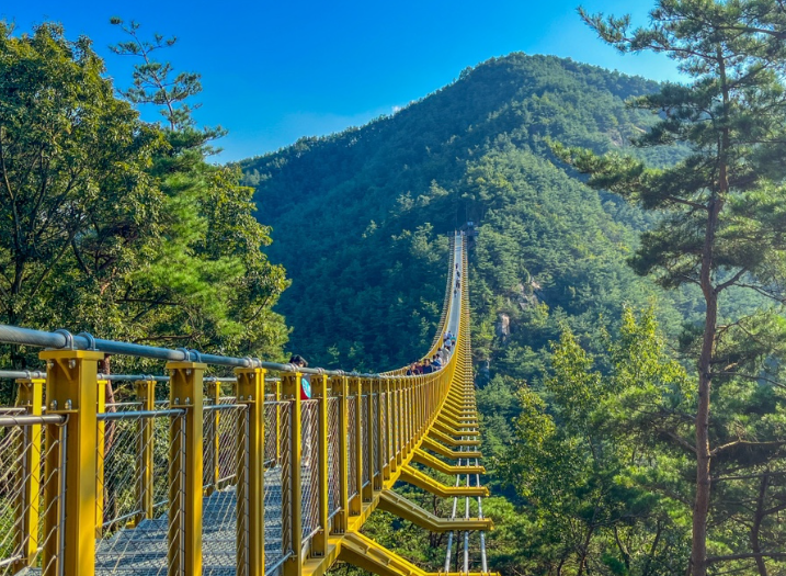 수승대출렁다리+함양상림공원