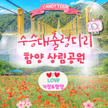 수승대출렁다리+함양상림공원