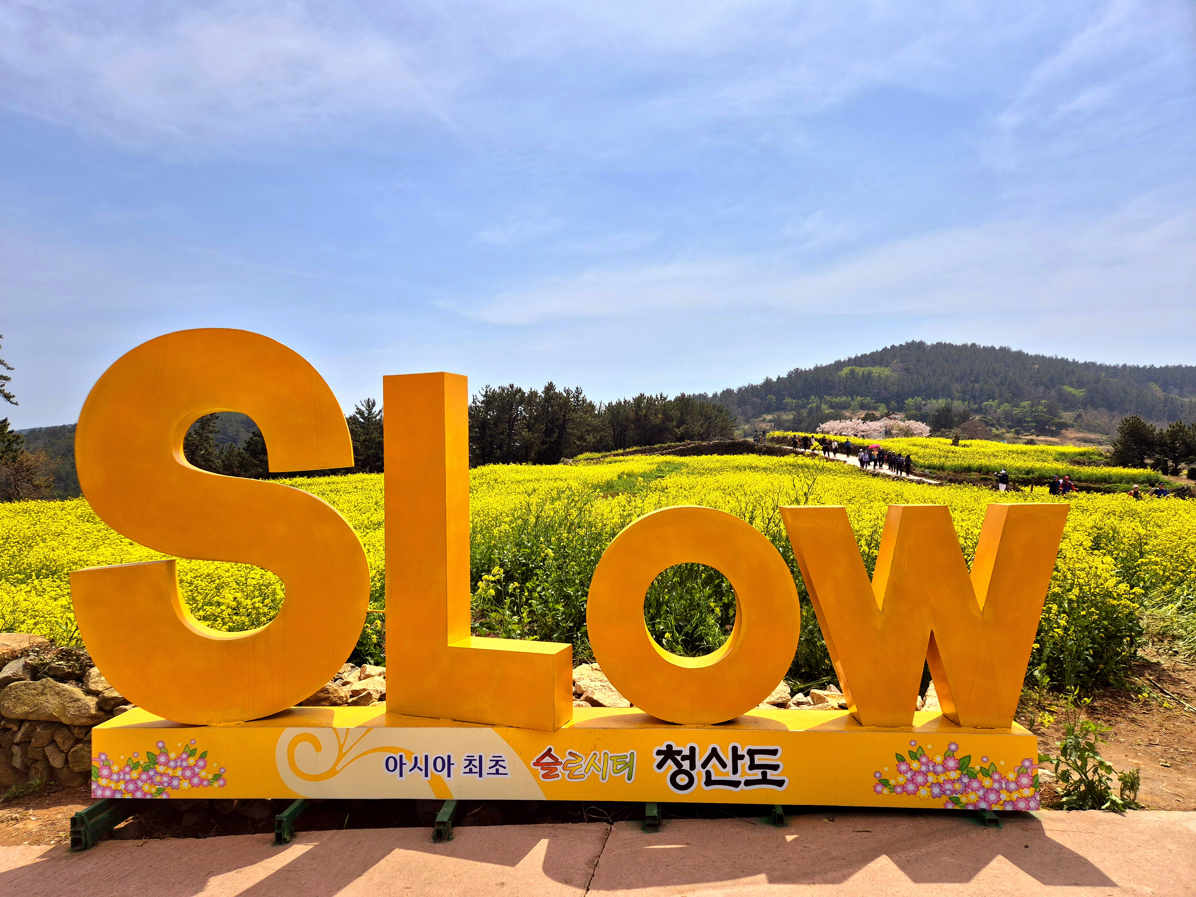 🧡청산도&완도 1박2일💛