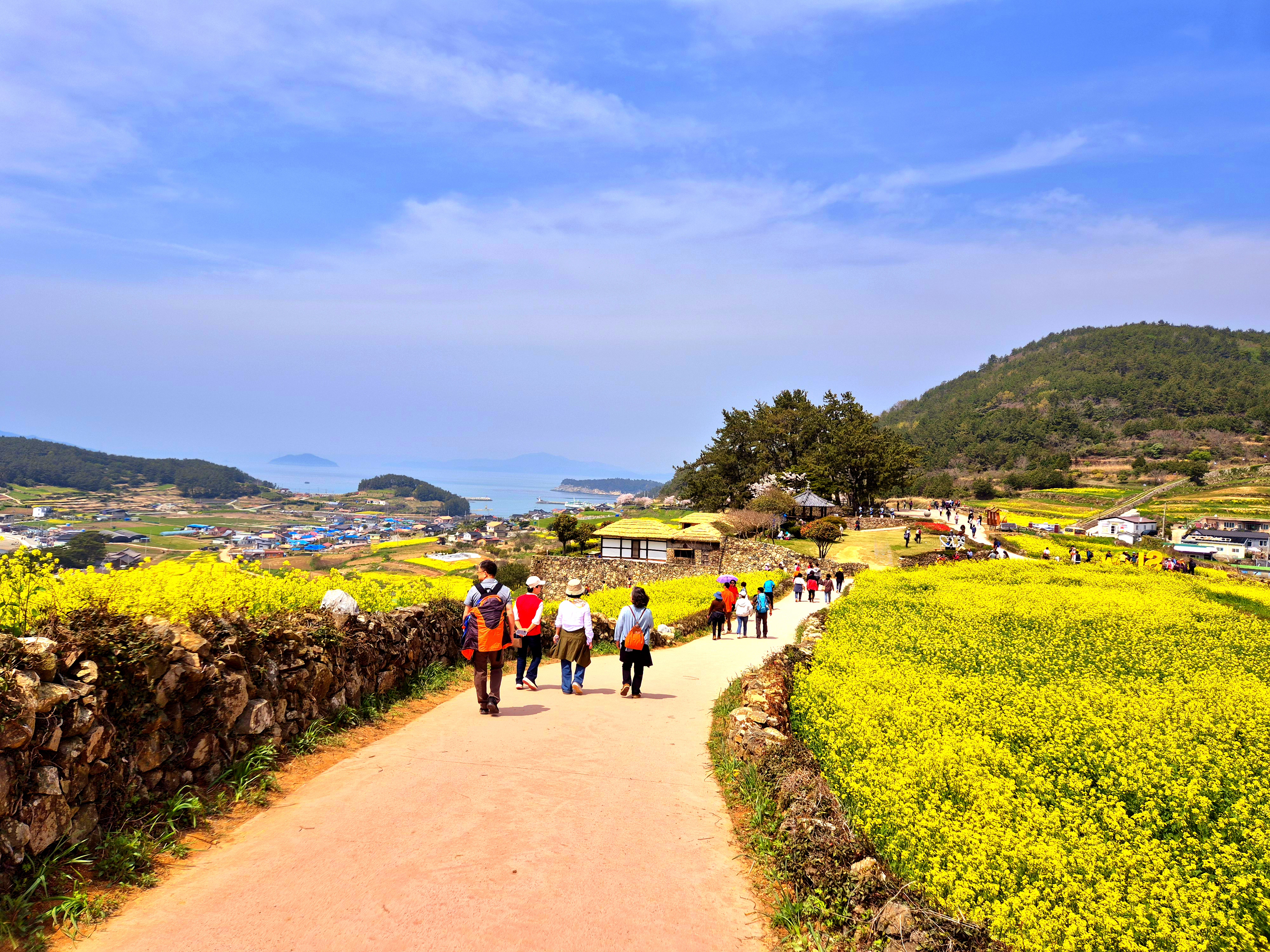 🧡청산도&완도 1박2일💛