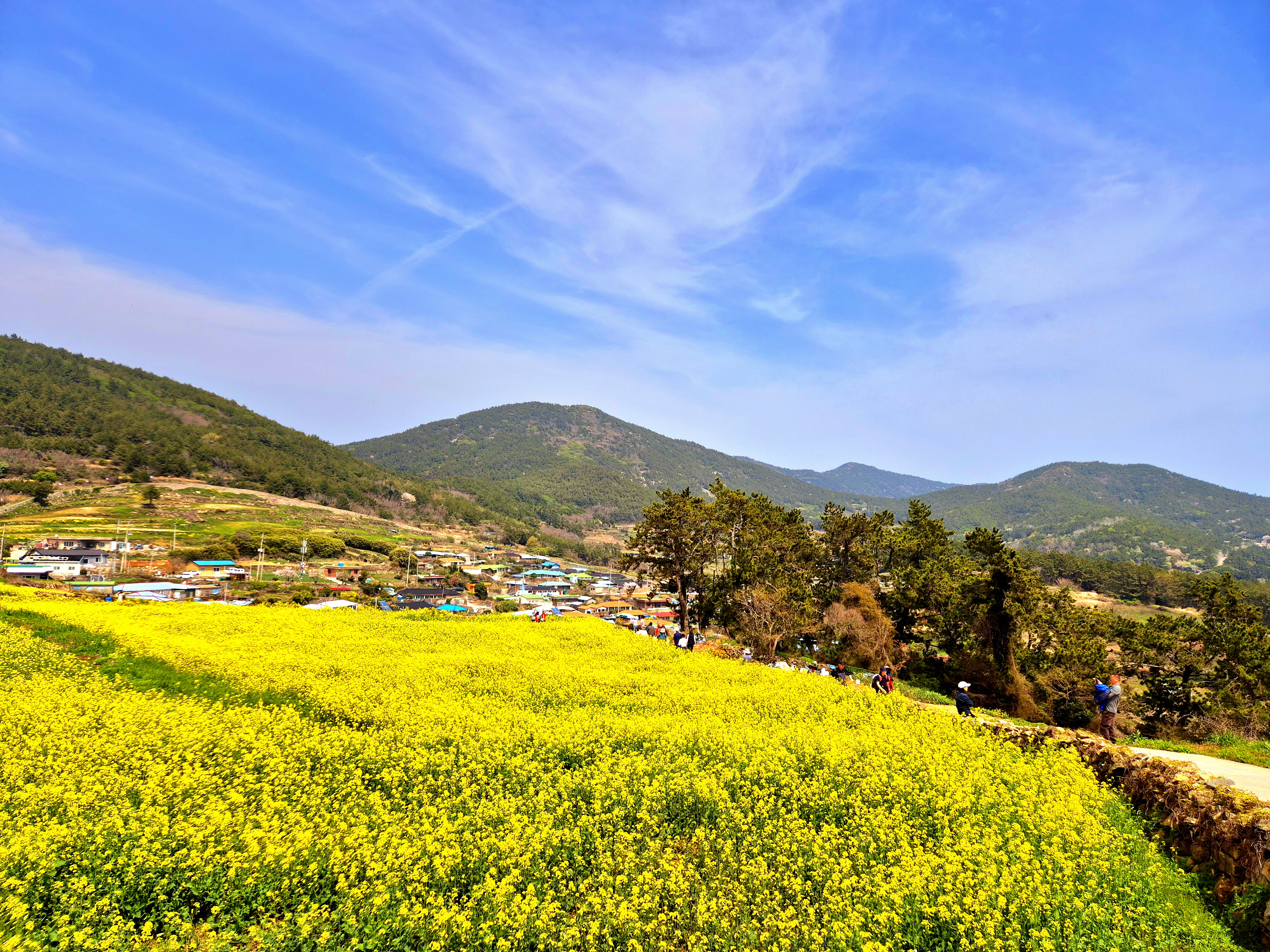 🧡청산도&완도 1박2일💛