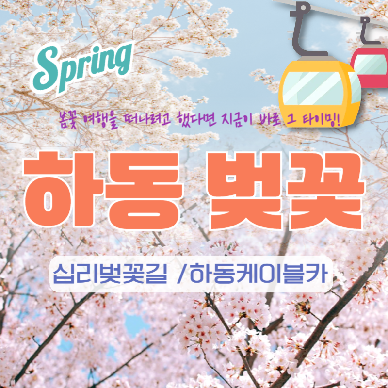 🧡하동벚꽃+케이블카당일💛