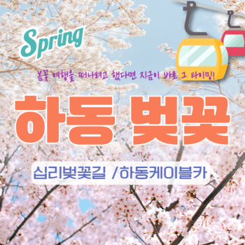 🧡하동벚꽃+케이블카당일💛