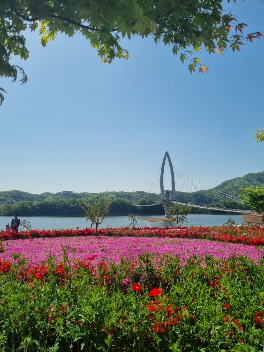 옥정호출렁다리+붕어섬