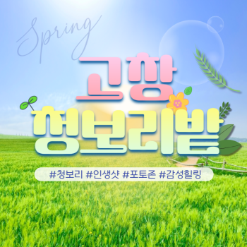 고창청보리축제 당일여행