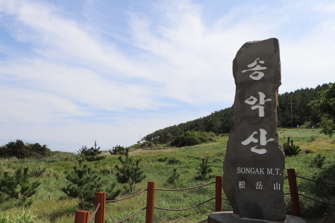 💛💚제주도당일여행🧡💜