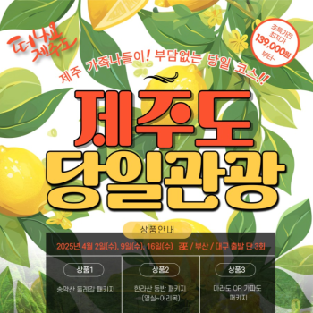💛💚제주도당일여행🧡💜