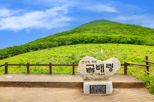 천상의화원 곰배령1박2일