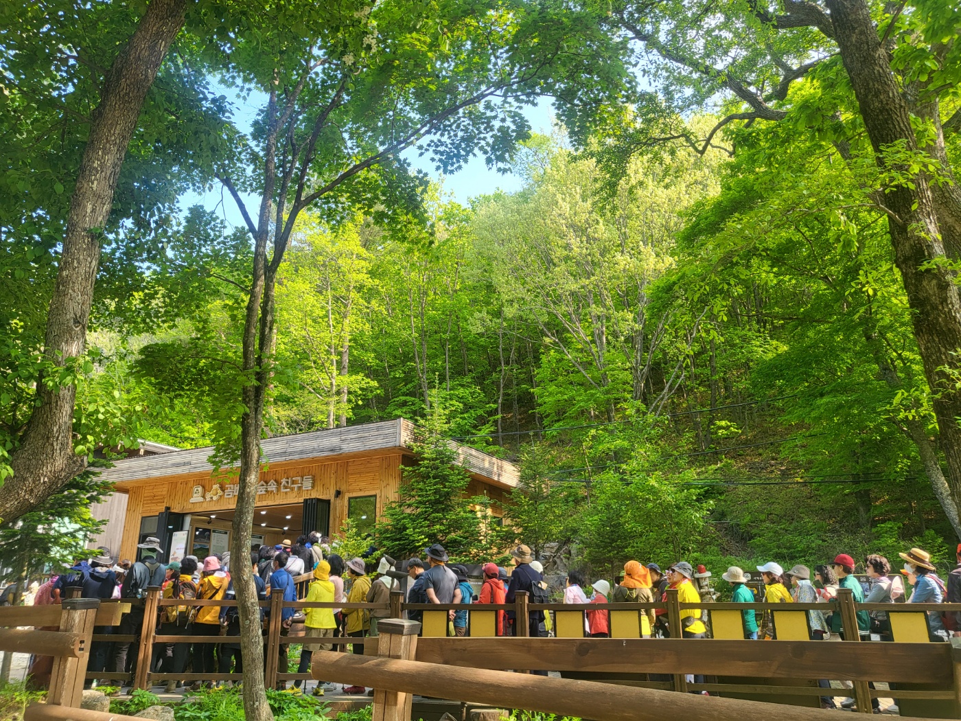 천상의화원 곰배령1박2일