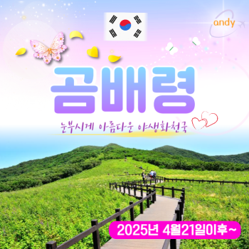 천상의화원 곰배령1박2일