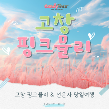 고창 핑크뮬리+선운사 당일