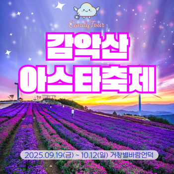 거창 감악산 아스타 국화축제 당일