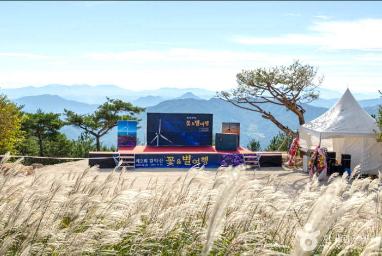 거창 감악산 아스타 국화축제 당일