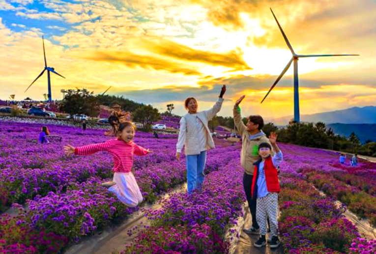 거창 감악산 아스타 국화축제 당일
