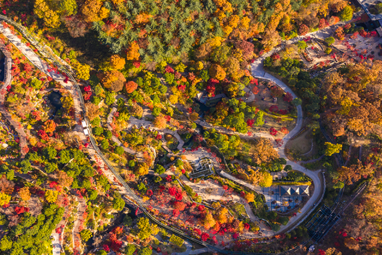 곤지암화담숲 단풍당일
