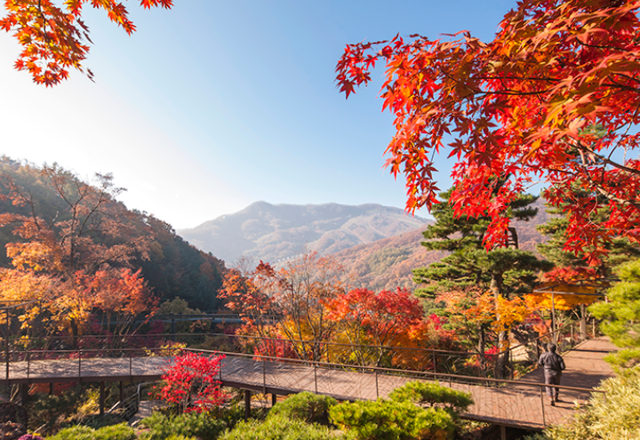 곤지암화담숲 단풍당일